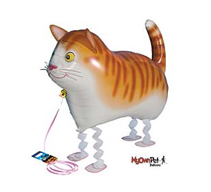cat balloon