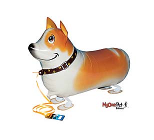 corgi dog balloons