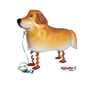 golden retriever dog balloons