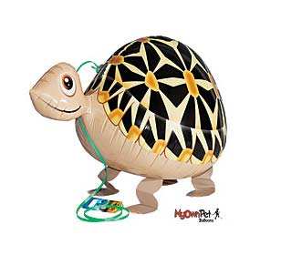 turtle balloon
