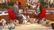 My Own Pet Balloons and Canines for Kids on WPIX